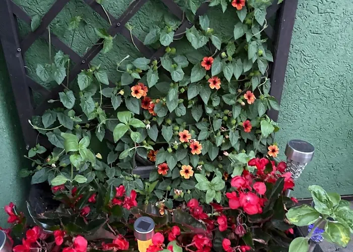 Goscinne Wibor Penzion *